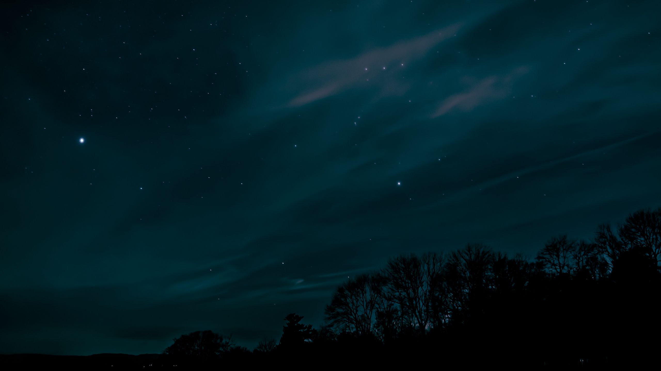 2560x1440 Wallpaper night, sky, stars, trees
