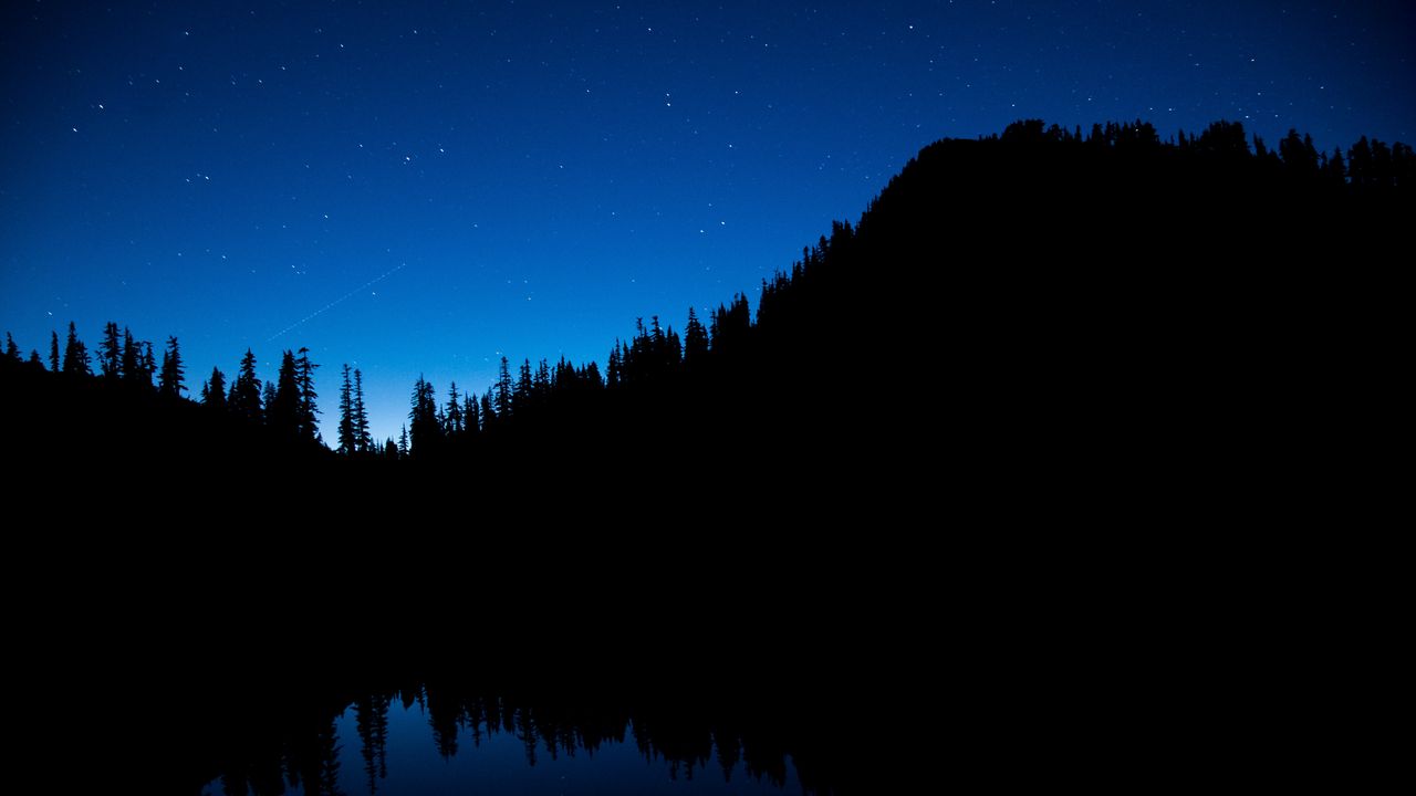 Wallpaper night sky, trees, starry sky