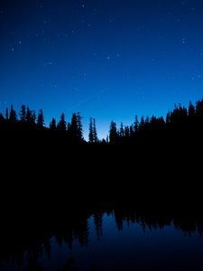 Preview wallpaper night sky, trees, starry sky