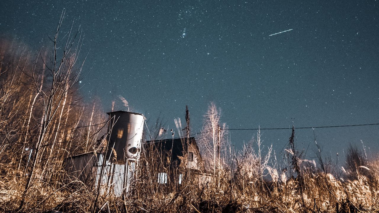 Wallpaper night, starry sky, bushes, buildings, abandoned, countryside