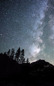 Preview wallpaper night, starry sky, mountains, trees, dark