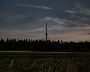 Preview wallpaper night, starry sky, stars, trees, grass