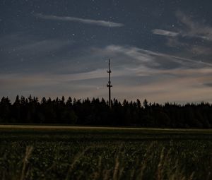 Preview wallpaper night, starry sky, stars, trees, grass