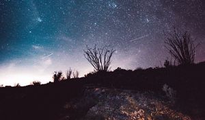 Preview wallpaper night, starry sky, stars, trees, space