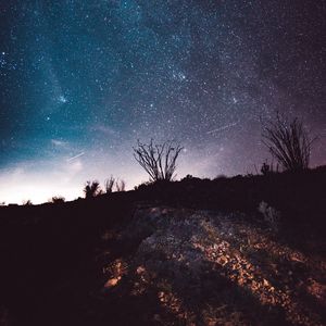 Preview wallpaper night, starry sky, stars, trees, space