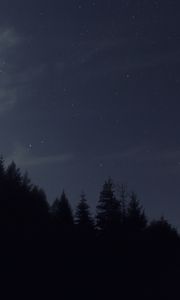 Preview wallpaper night, starry sky, trees, dark, darkness