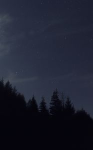 Preview wallpaper night, starry sky, trees, dark, darkness