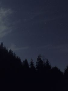 Preview wallpaper night, starry sky, trees, dark, darkness
