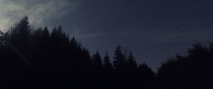 Preview wallpaper night, starry sky, trees, dark, darkness