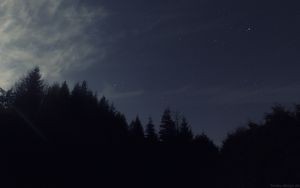 Preview wallpaper night, starry sky, trees, dark, darkness