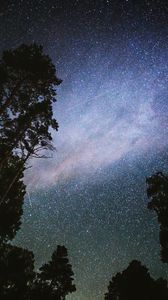 Preview wallpaper night, starry sky, trees, dark, stars