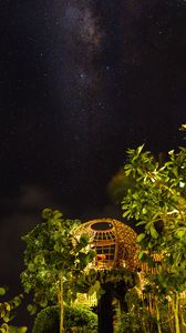 Preview wallpaper night, starry sky, trees, bushes, building