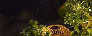 Preview wallpaper night, starry sky, trees, bushes, building