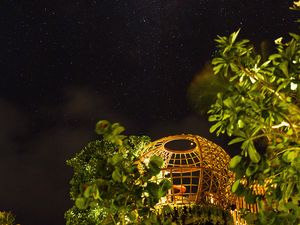 Preview wallpaper night, starry sky, trees, bushes, building