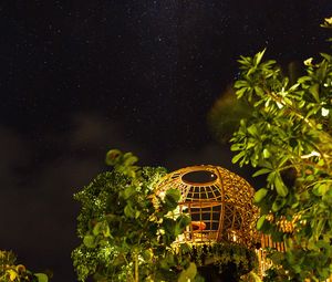 Preview wallpaper night, starry sky, trees, bushes, building