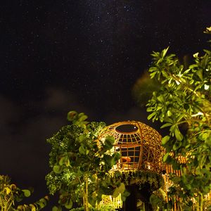 Preview wallpaper night, starry sky, trees, bushes, building