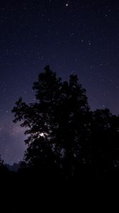 Preview wallpaper night, starry sky, trees, silhouette