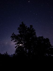 Preview wallpaper night, starry sky, trees, silhouette