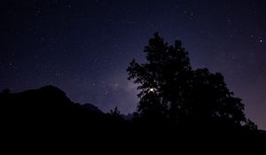 Preview wallpaper night, starry sky, trees, silhouette