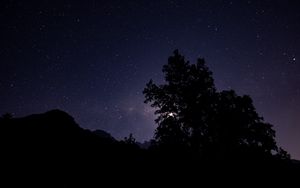 Preview wallpaper night, starry sky, trees, silhouette