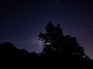 Preview wallpaper night, starry sky, trees, silhouette