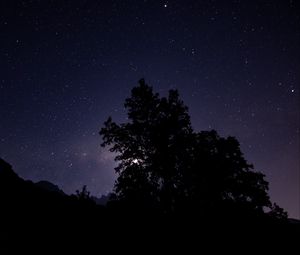 Preview wallpaper night, starry sky, trees, silhouette