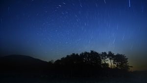 Preview wallpaper night, stars, beautiful, grass, trees