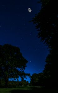 Preview wallpaper night, stars, moon, trees, dark, moonlight