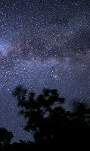 Preview wallpaper night, stars, silhouette, sky, trees