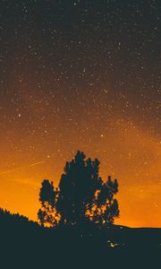 Preview wallpaper night, stars, sky, tree