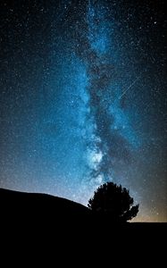 Preview wallpaper night, tree, starry sky, dark, milky way, stars