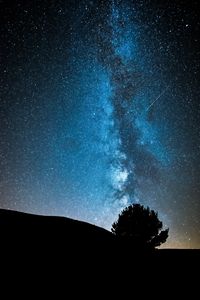 Preview wallpaper night, tree, starry sky, dark, milky way, stars