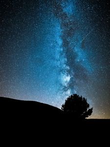 Preview wallpaper night, tree, starry sky, dark, milky way, stars