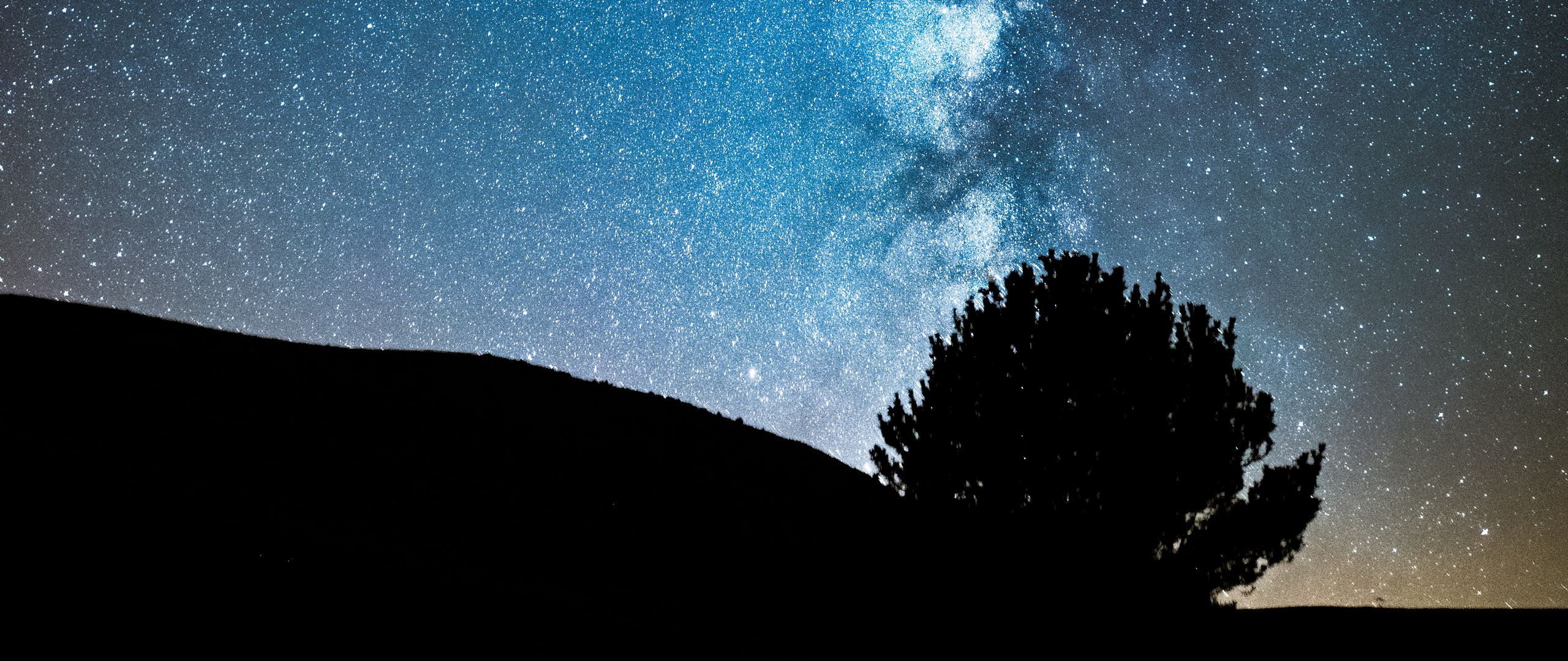 Download wallpaper 2560x1080 night, tree, starry sky, dark, milky way