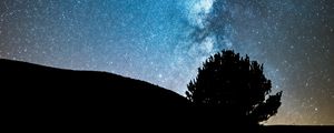 Preview wallpaper night, tree, starry sky, dark, milky way, stars