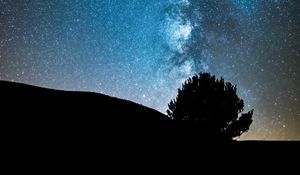 Preview wallpaper night, tree, starry sky, dark, milky way, stars