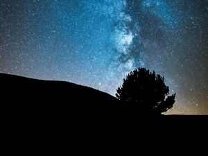 Preview wallpaper night, tree, starry sky, dark, milky way, stars