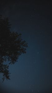 Preview wallpaper night, tree, starry sky, stars