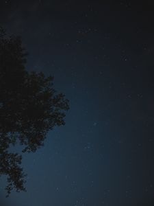 Preview wallpaper night, tree, starry sky, stars