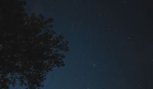 Preview wallpaper night, tree, starry sky, stars