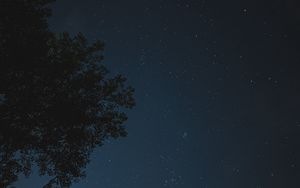 Preview wallpaper night, tree, starry sky, stars