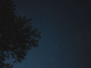 Preview wallpaper night, tree, starry sky, stars