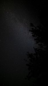 Preview wallpaper night, tree, starry sky, stars, nebula