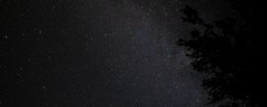 Preview wallpaper night, tree, starry sky, stars, nebula