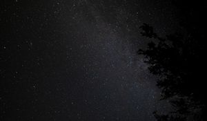 Preview wallpaper night, tree, starry sky, stars, nebula