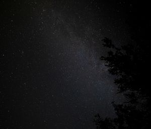 Preview wallpaper night, tree, starry sky, stars, nebula