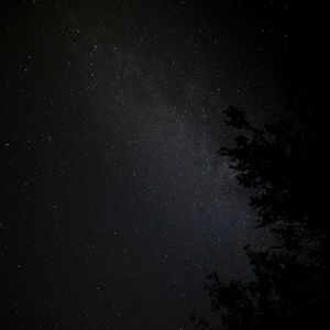 Preview wallpaper night, tree, starry sky, stars, nebula