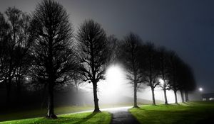 Preview wallpaper night, trees, avenue, light