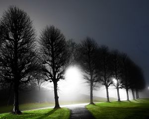 Preview wallpaper night, trees, avenue, light