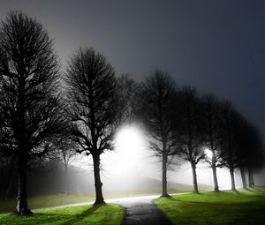 Preview wallpaper night, trees, avenue, light